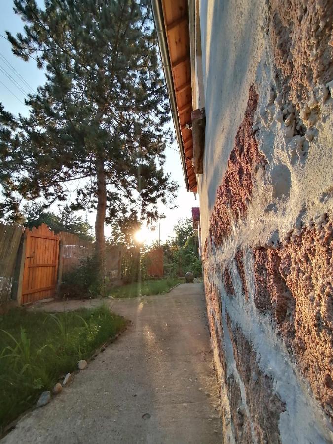 Ижата - Топлина И Уют Borovitsa Exterior photo