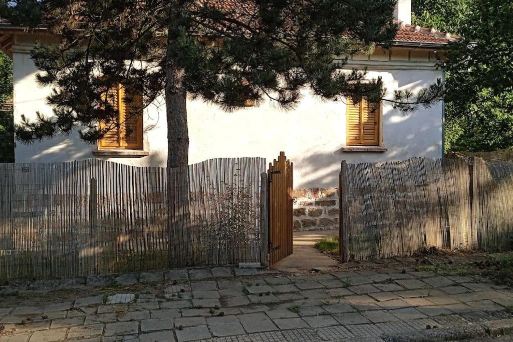 Ижата - Топлина И Уют Borovitsa Exterior photo