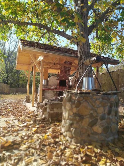 Ижата - Топлина И Уют Borovitsa Exterior photo